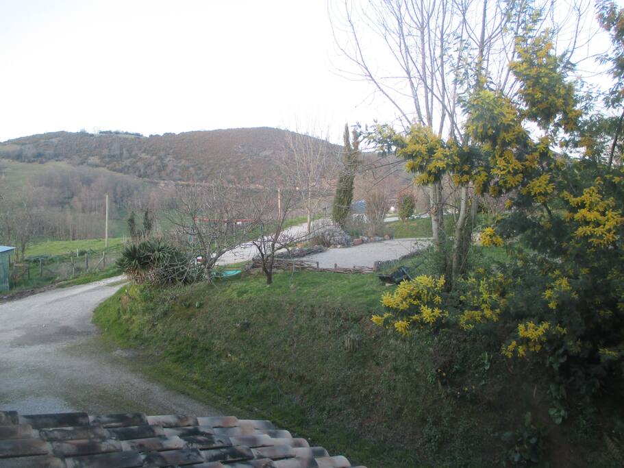 Vue depuis la chambre