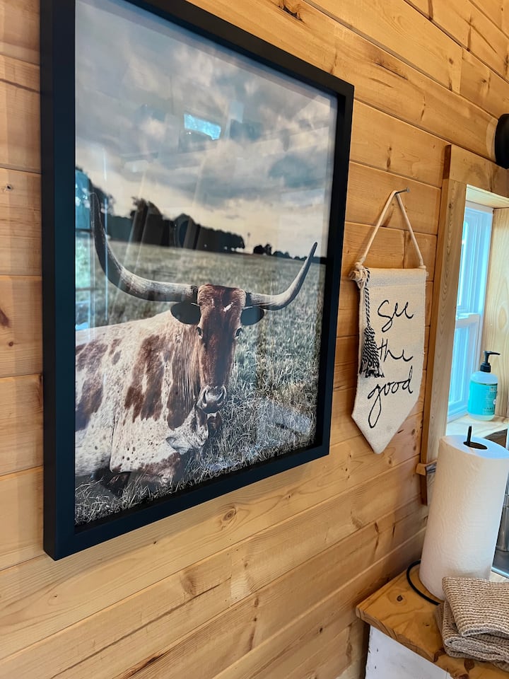 8 Best Tiny Houses For Rent Near Decatur, Texas Updated 2024 Trip101