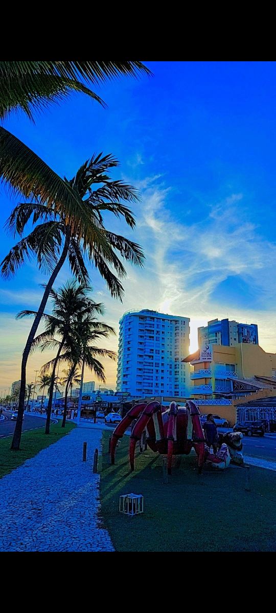 The image captures a vibrant sunset sky with a blend of blues and yellows. Palm trees gently sway in the foreground, and a unique red sculpture is visible on the grass. Modern buildings line the street, adding urban charm to the serene seaside setting.