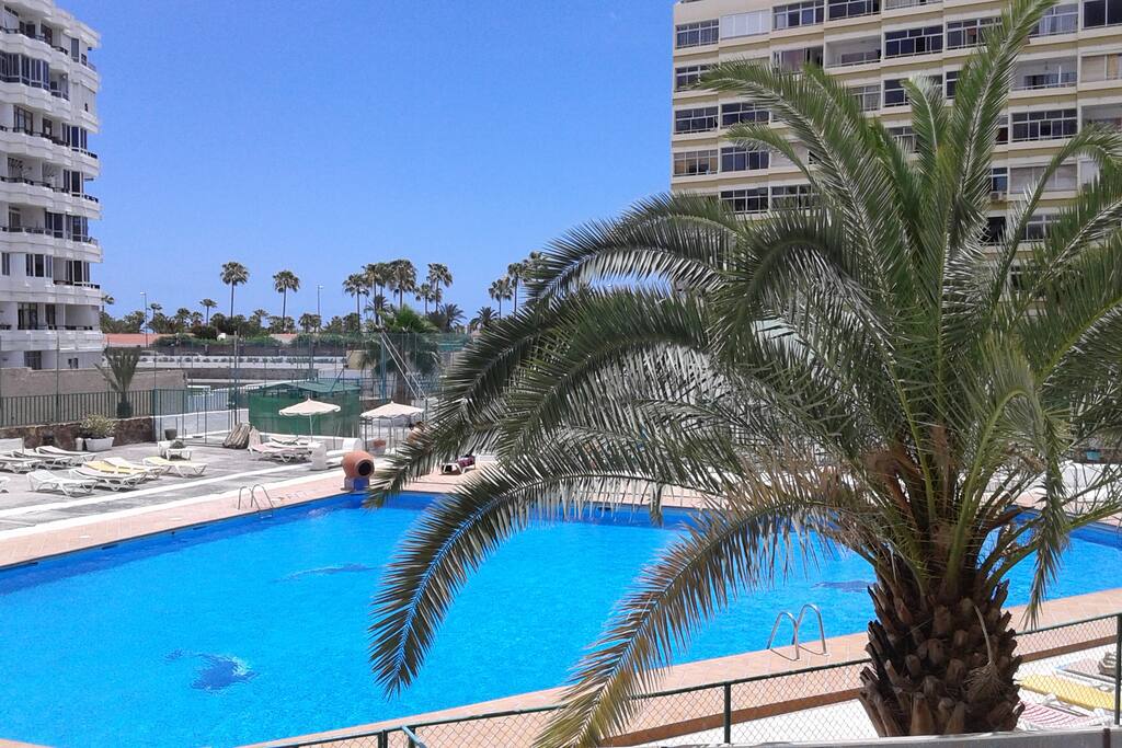 Appartamenti Gran Canaria Economici Appartamenti Gran Canaria Economici