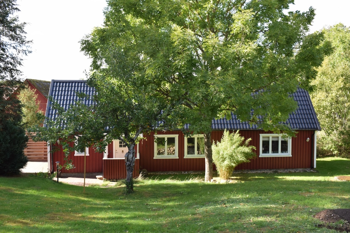 A red wooden cabin is surrounded by a green lawn and trees, providing a tranquil setting. The cabin features multiple windows with white framing and a blue roof, reflecting the natural environment. A pathway leads to the entrance, enhancing accessibility.
