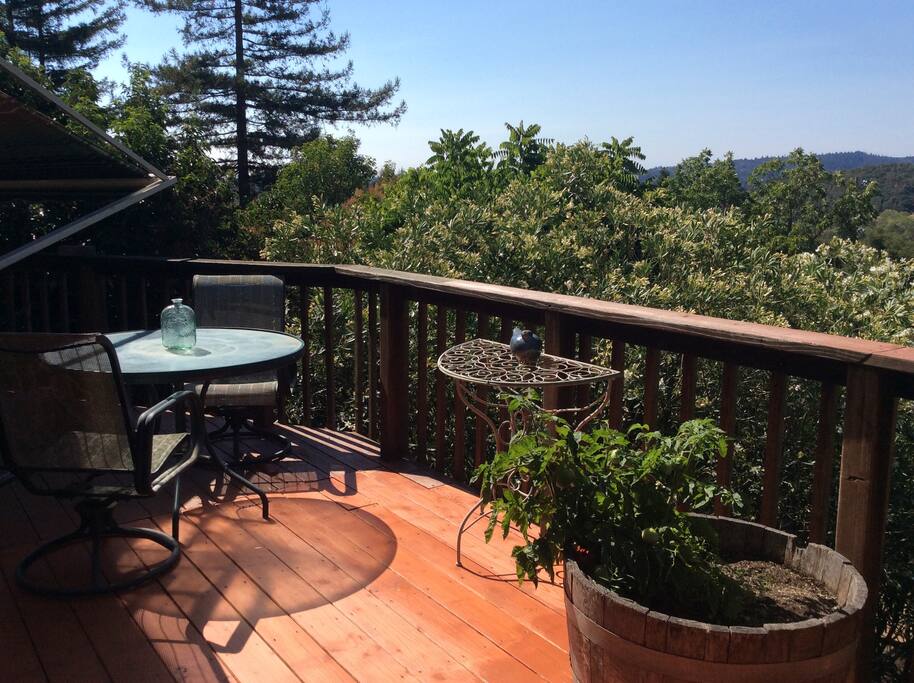 One of several outdoor sitting areas...on the back deck.