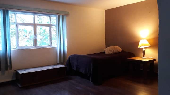 საძინებელი 1