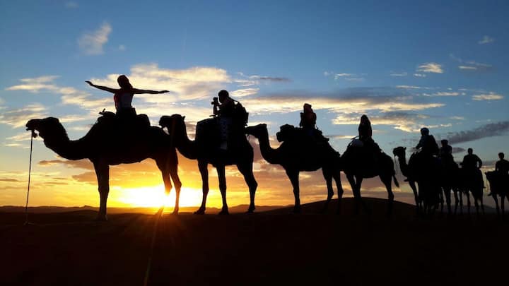 Overnight Trip by Camels to the Desert