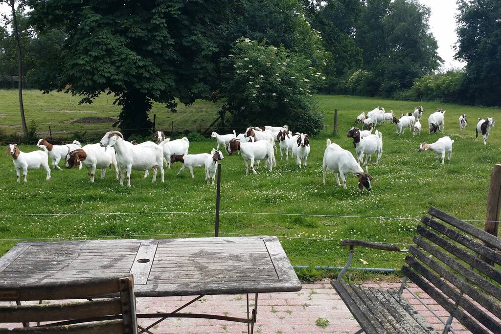 Welkom op de Mekkerkast!