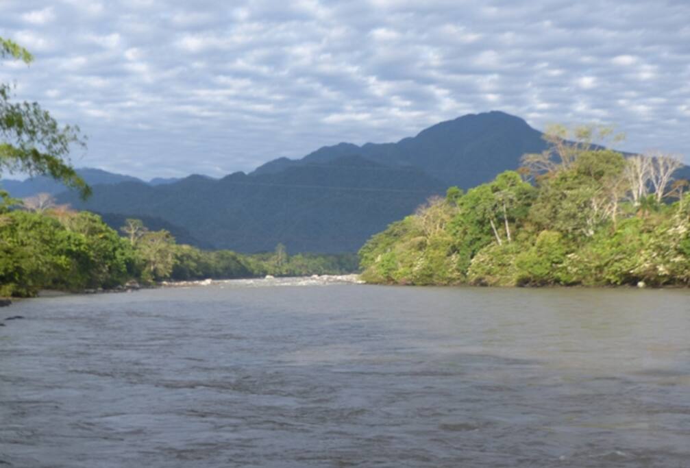 Paisaje del Parque Nacional Llanganates.