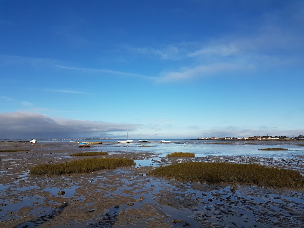 A serene coastal scene features shallow waters reflecting a clear sky, with patches of green grass visible on the sandy surface. Several boats are gently anchored in the distance, while the horizon reveals a line of buildings. Soft clouds are scattered in the sky.