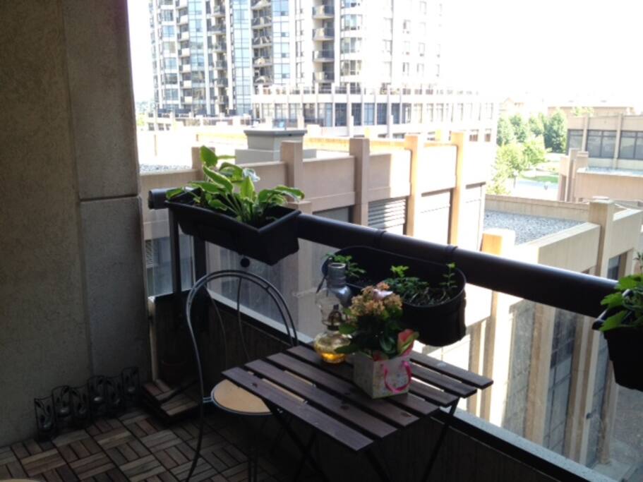 Short Term Rooms For Rent Toronto Short Term Rooms For Rent Toronto