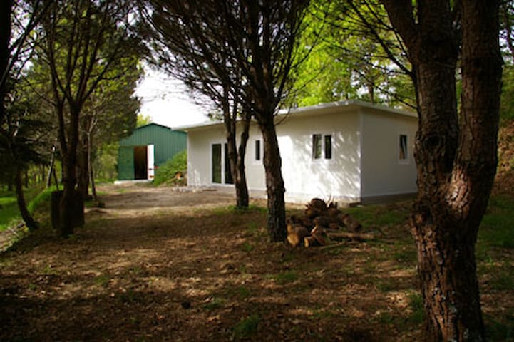 GONDAR STUDIO - THE WHITE HOUSE