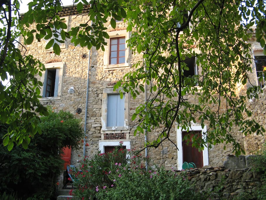 rear of house from garden