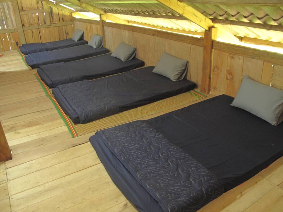 Dorm Beds