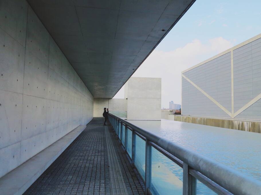 忠雄 安藤 安藤忠雄台灣建築首作「亞洲大學現代美術館」！體現極致三角形堆疊美學的藝術殿堂