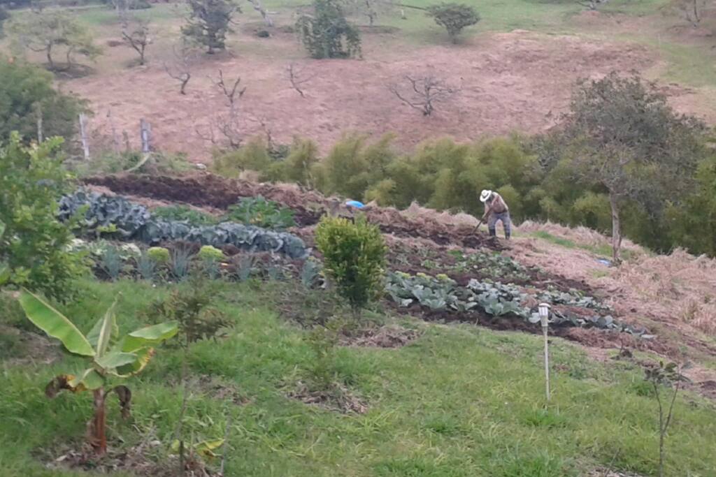 Huerta casa de campo