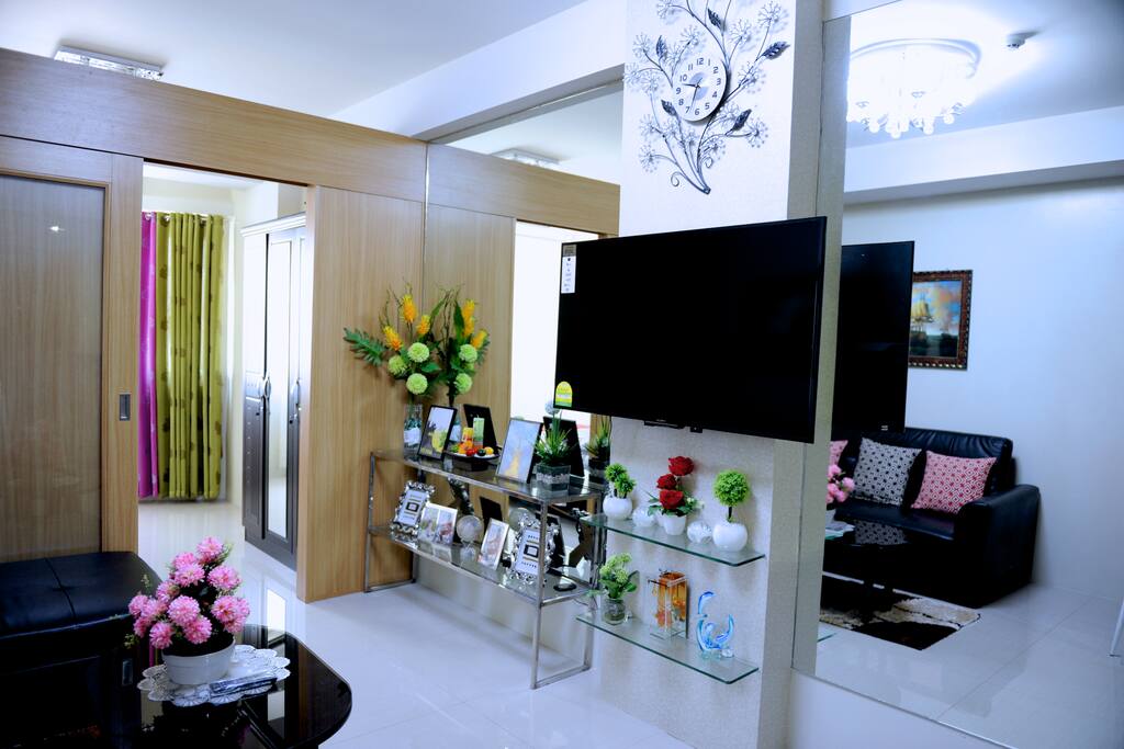 48" Television