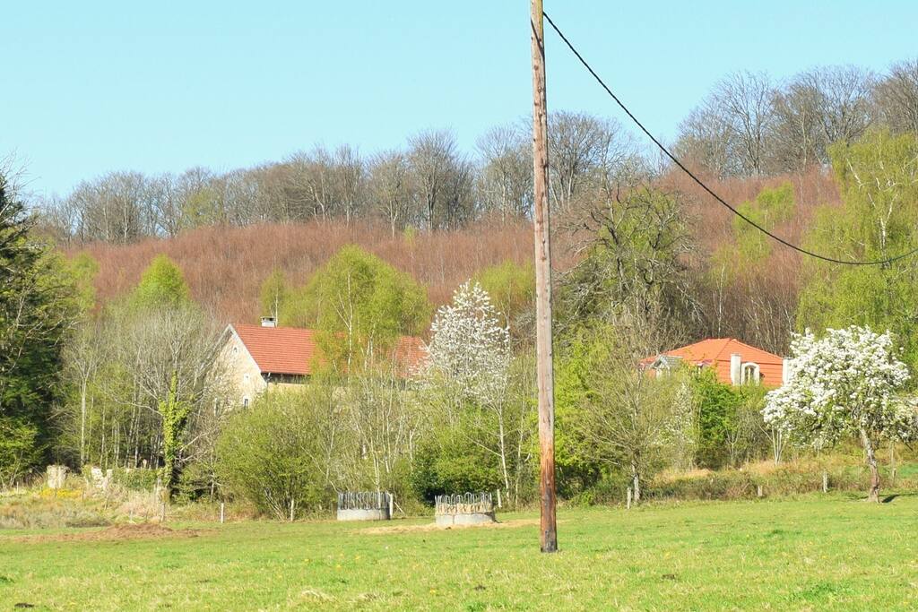 À deux pas du petit château de Bellevue, au bout d'un chemin privé