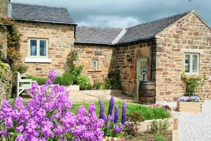 Bleak House Cottage Peak District Dog Friendly Cottages For