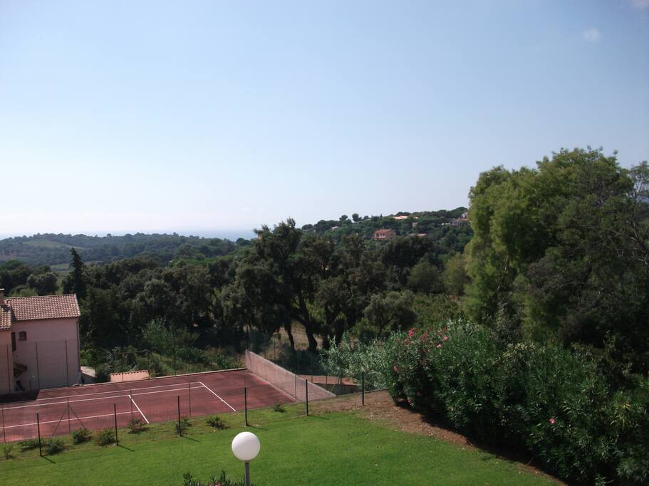 panorama