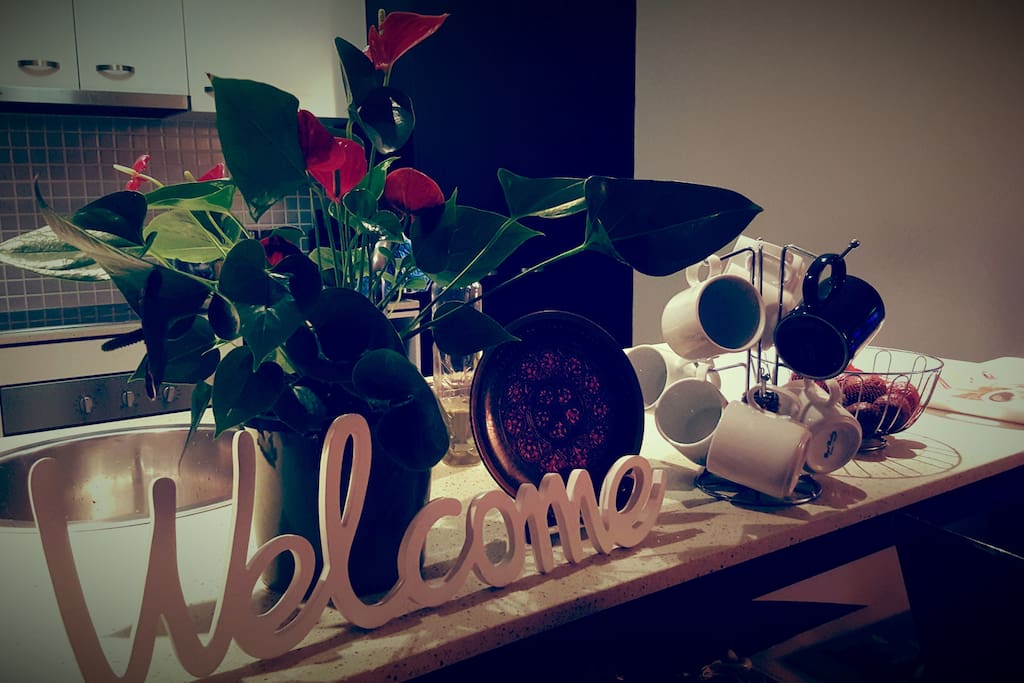 Welcome!