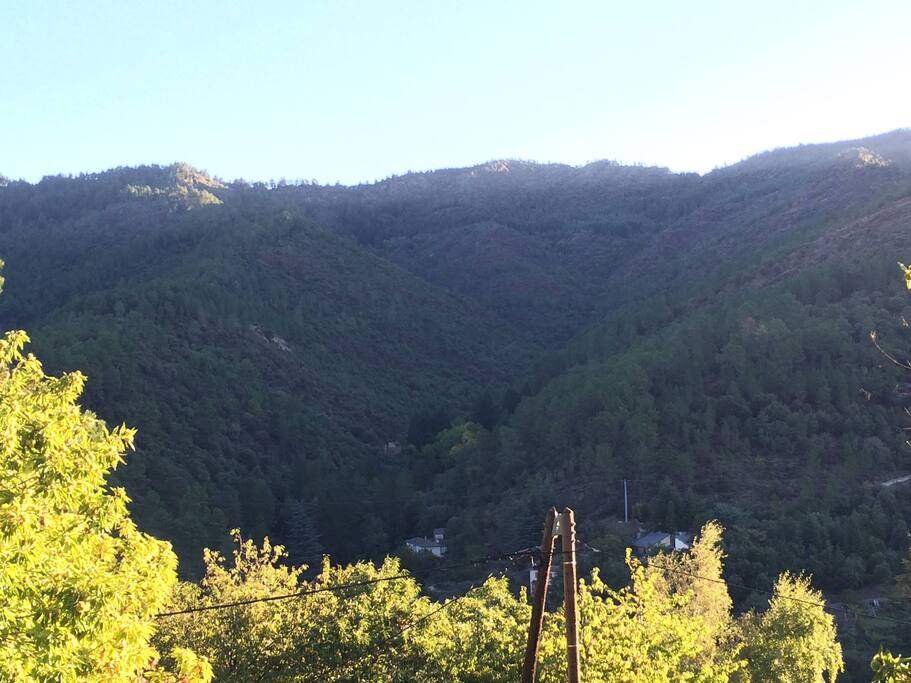La vue depuis la terrasse