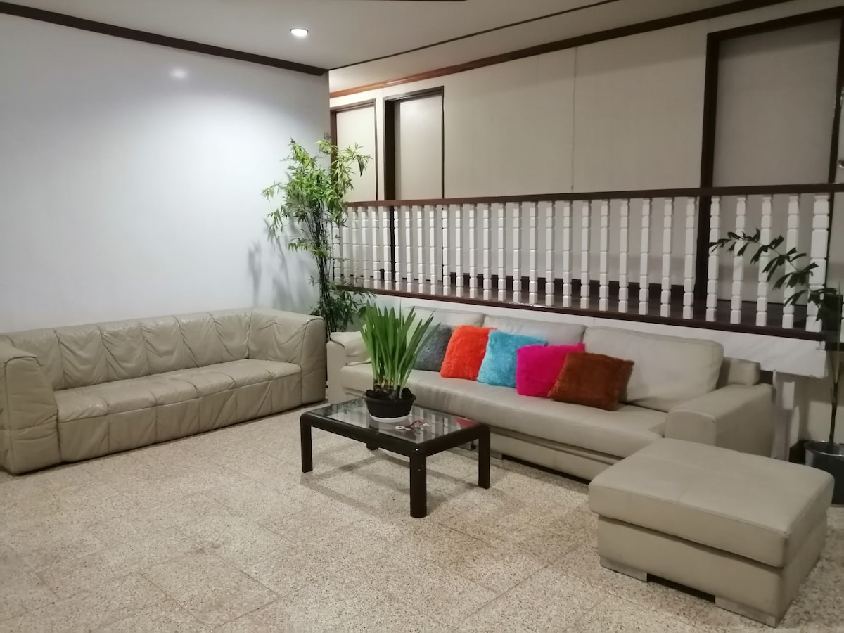 A spacious living area is presented with two sofas, one in a light hue and the other in a neutral tone. A coffee table is centered with a small potted plant. Decorative cushions add a pop of color to the seating, while green plants provide a touch of nature.