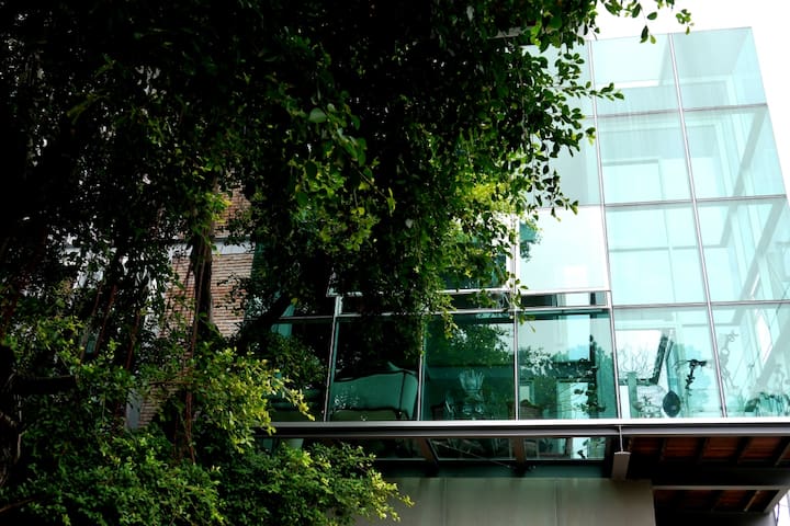 Bangkok’s Ultimate Glass Tree House
