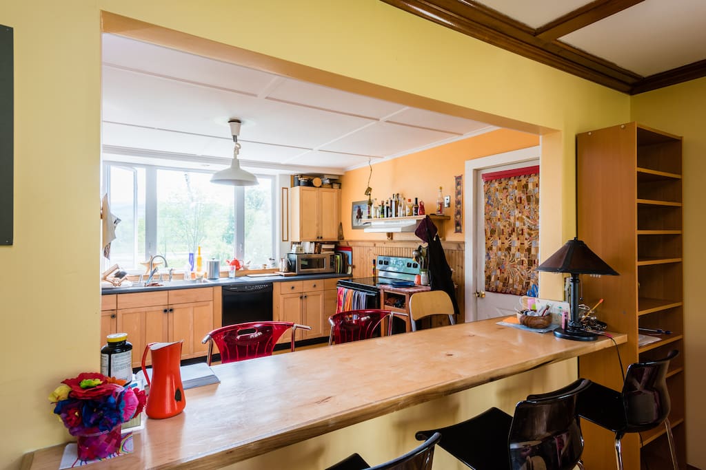 dining counter between kitchen and living room