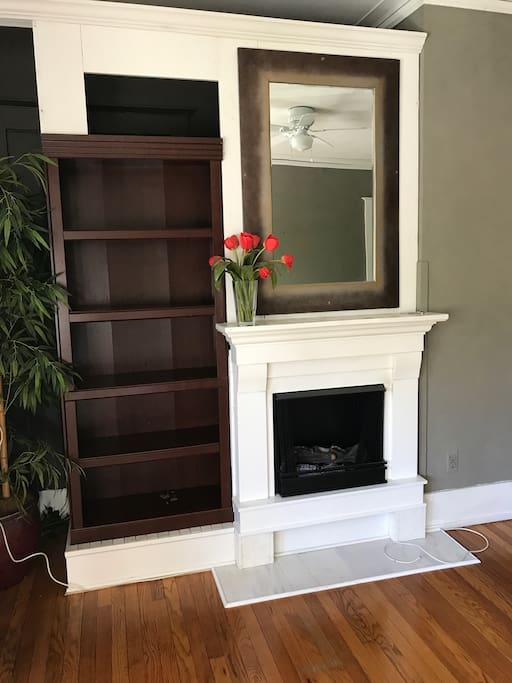 Electric fireplace for cozy nights