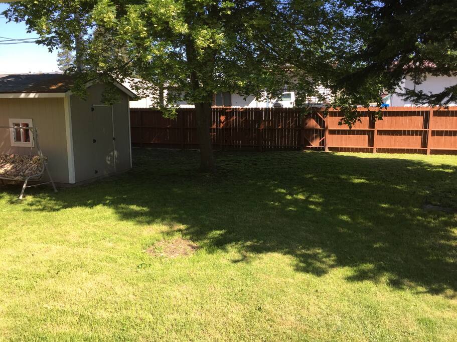 Grassy fenced back yard