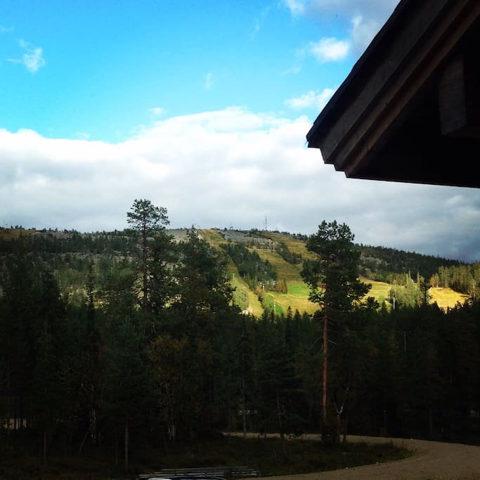 In the summertime there are a lot of possibilities for hiking either self organised or organised hiking e.g. Karhun Kierros, mountain biking, frisbee golf, swimming, picking wild berries and enjoying the midnight sun and the forest calmness.