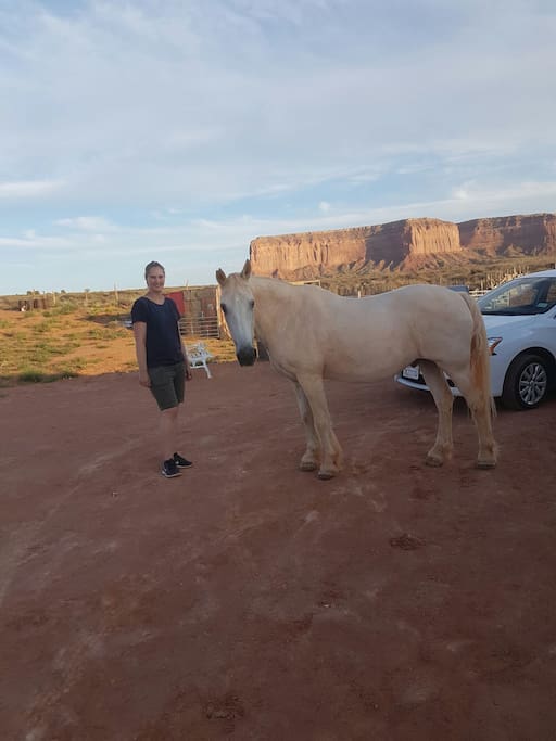 Guest with our gentle horse...at own risk u can ride horse ...we only have one ...that is gentle