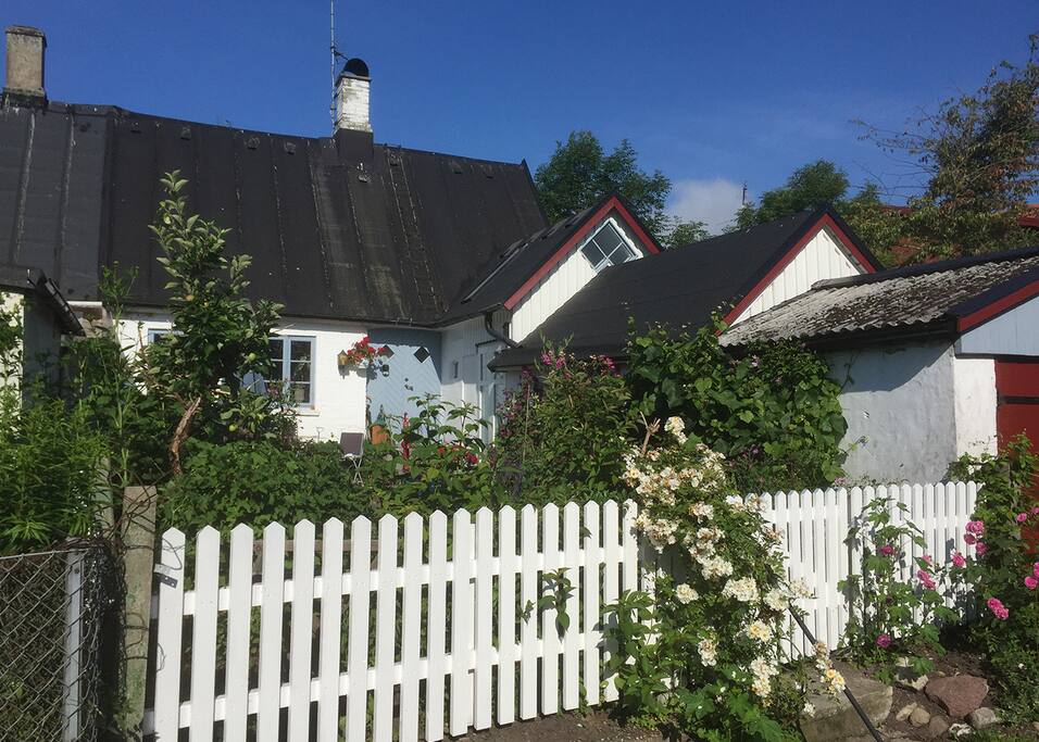 Hus 1