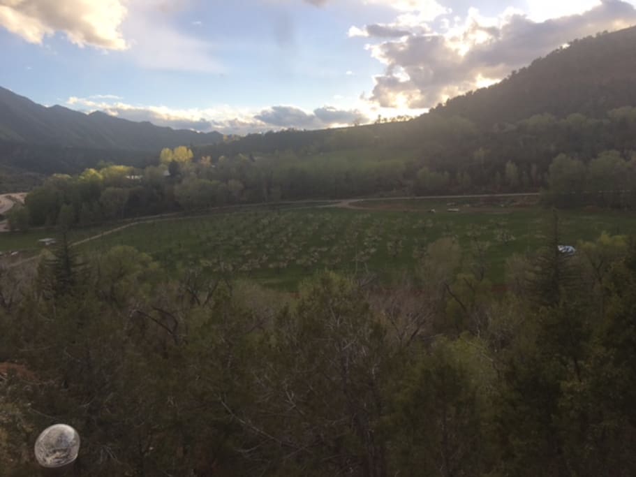 Canyon and Orchard view from back deck