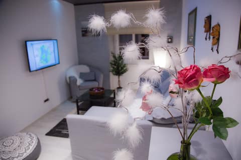 Successful Airbnb property: Apartment Via Corso in Mjesni Odbor Školjić Stari Grad