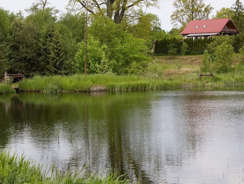 House By the Pond