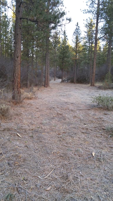 Upper trail