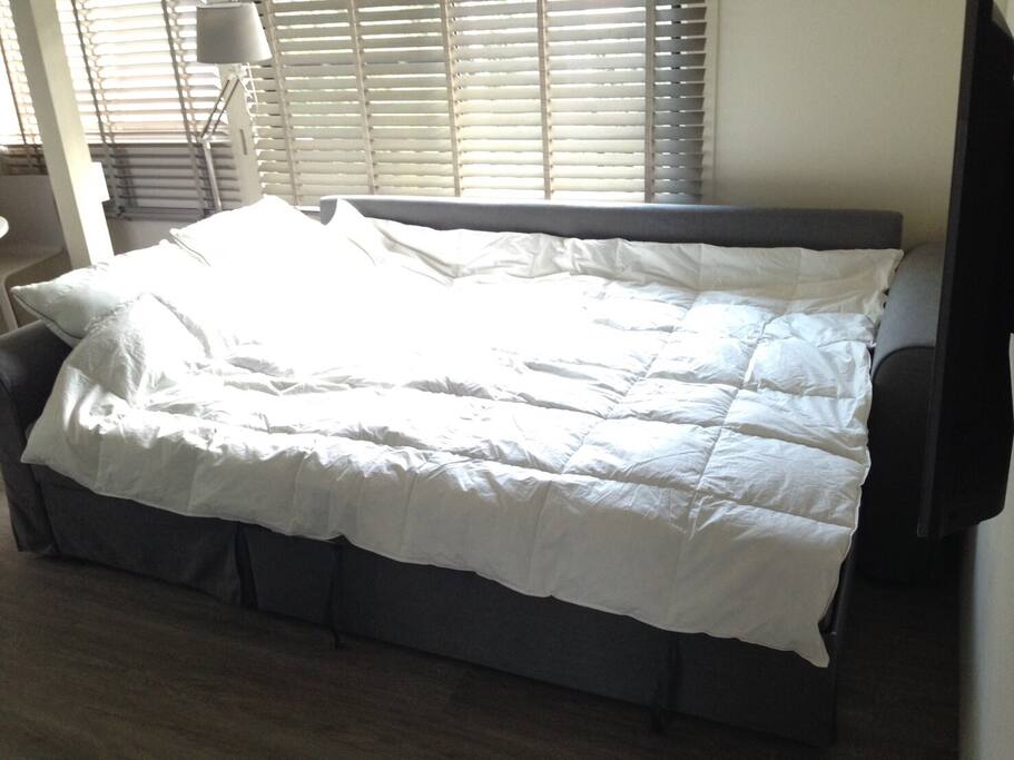 sofa bed - double bed size
