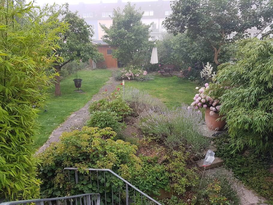 Blick in den Garten vom Essbereich/ Südseite