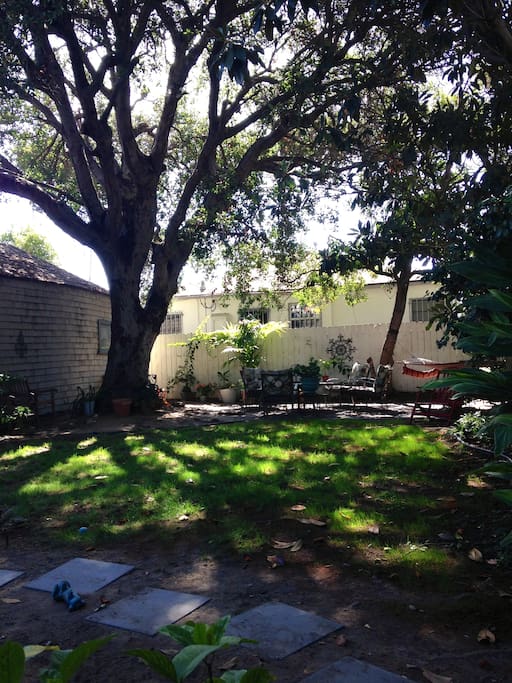 Backyard