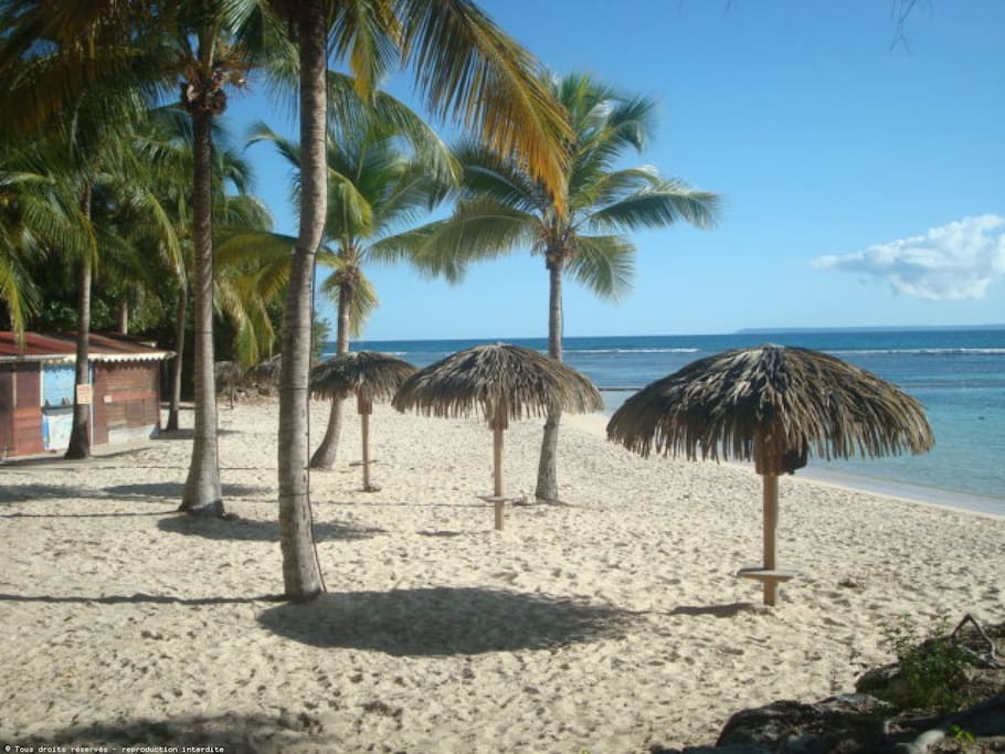 Plage Résidence Anse des Rochers