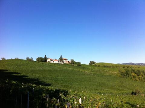 Amazing Langhe and Tasty Red Wine