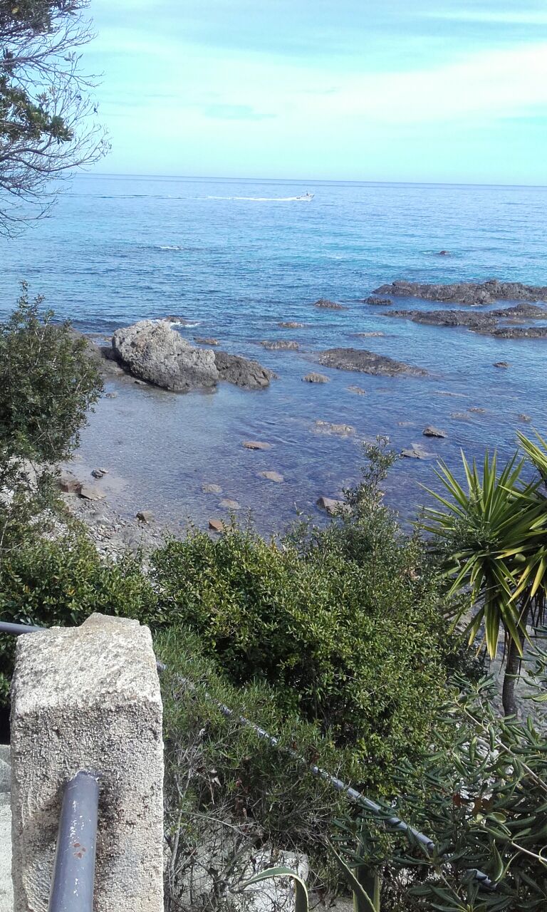 Sari Solenzara Locations De Vacances Et Logements Corse France Airbnb