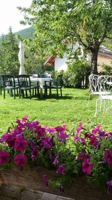 Jardin commun aux locataire
