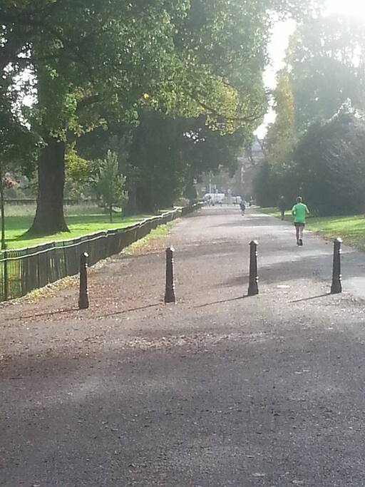 Preston Park on our doorstep