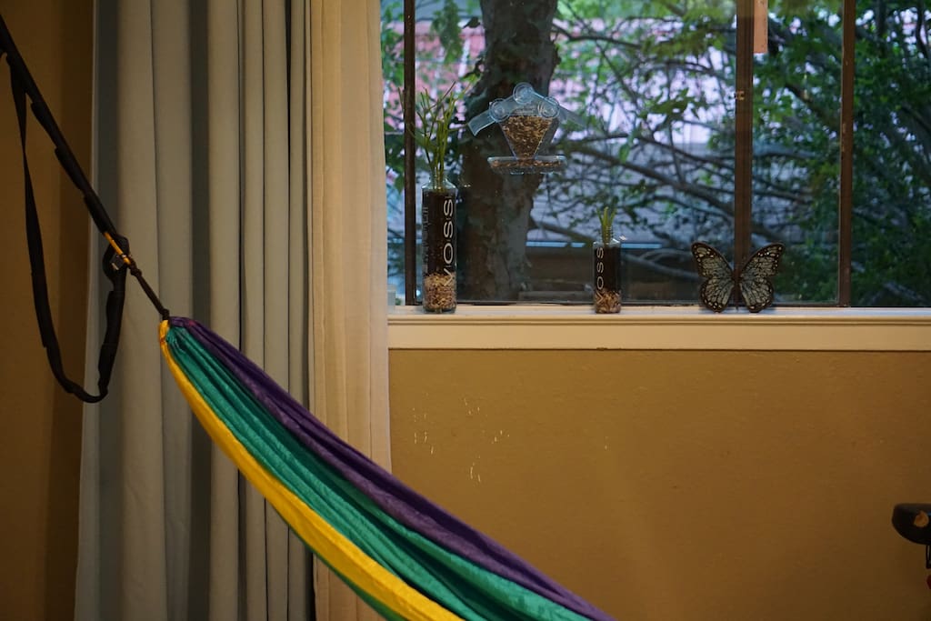 Living room hammock and bird feeder
