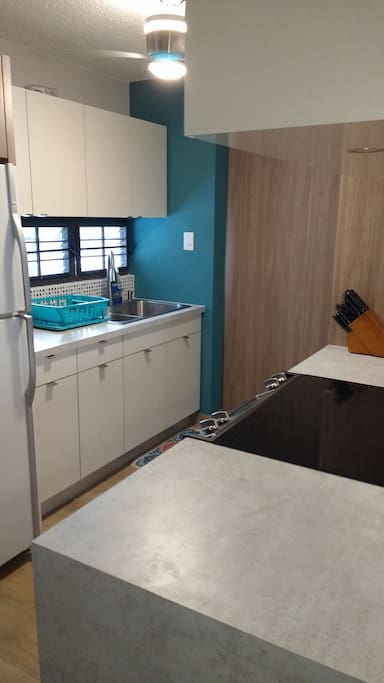 Kitchen sink area