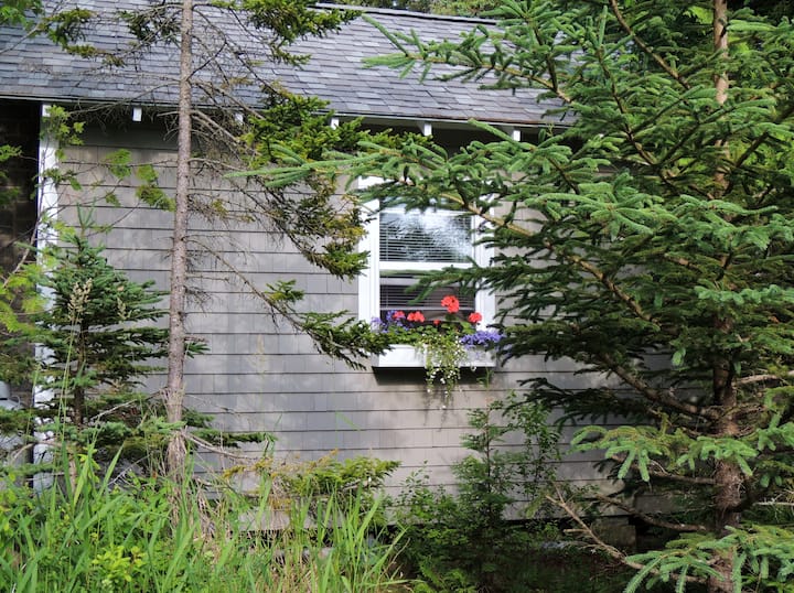 Top 12 PetFriendly Airbnbs In Maine, USA Updated 2024 Trip101