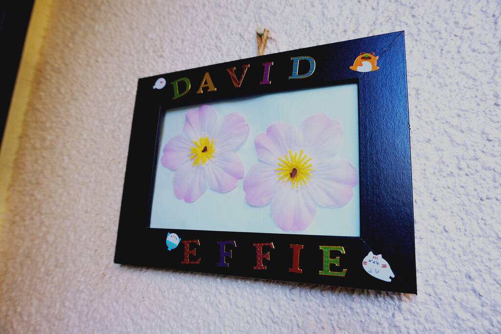 David & Effie 可中日英对应