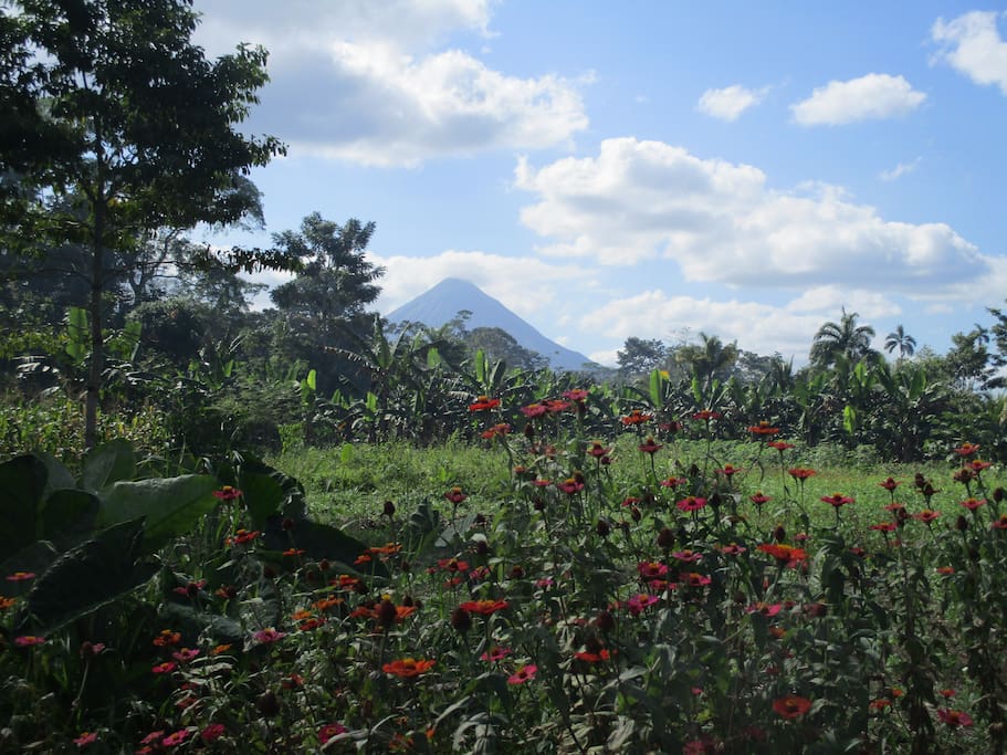 VISTA DEL VOLCÁN ARENAL