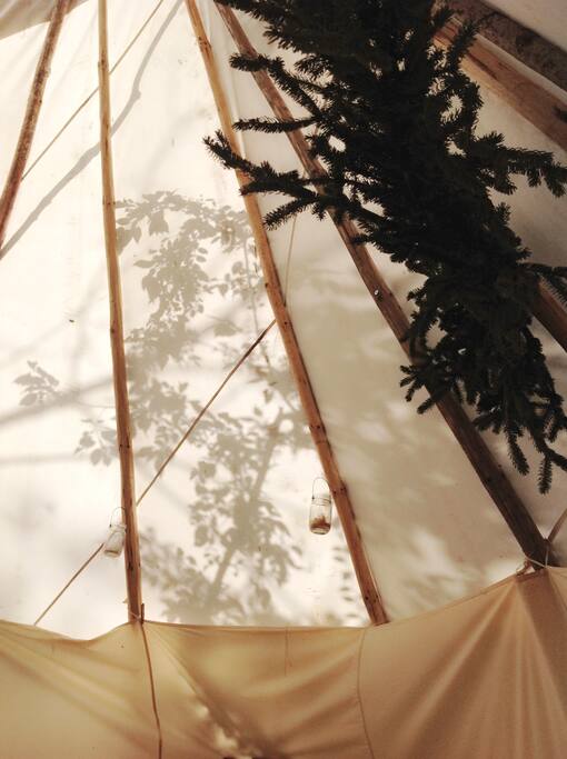Morning view from the beds.