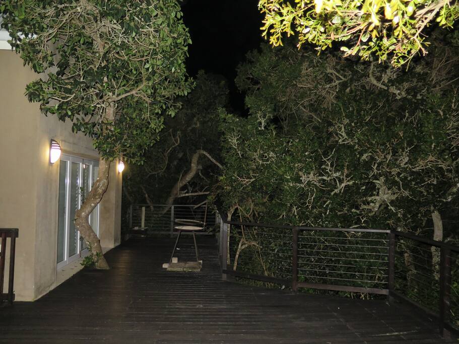 Deck in the evening